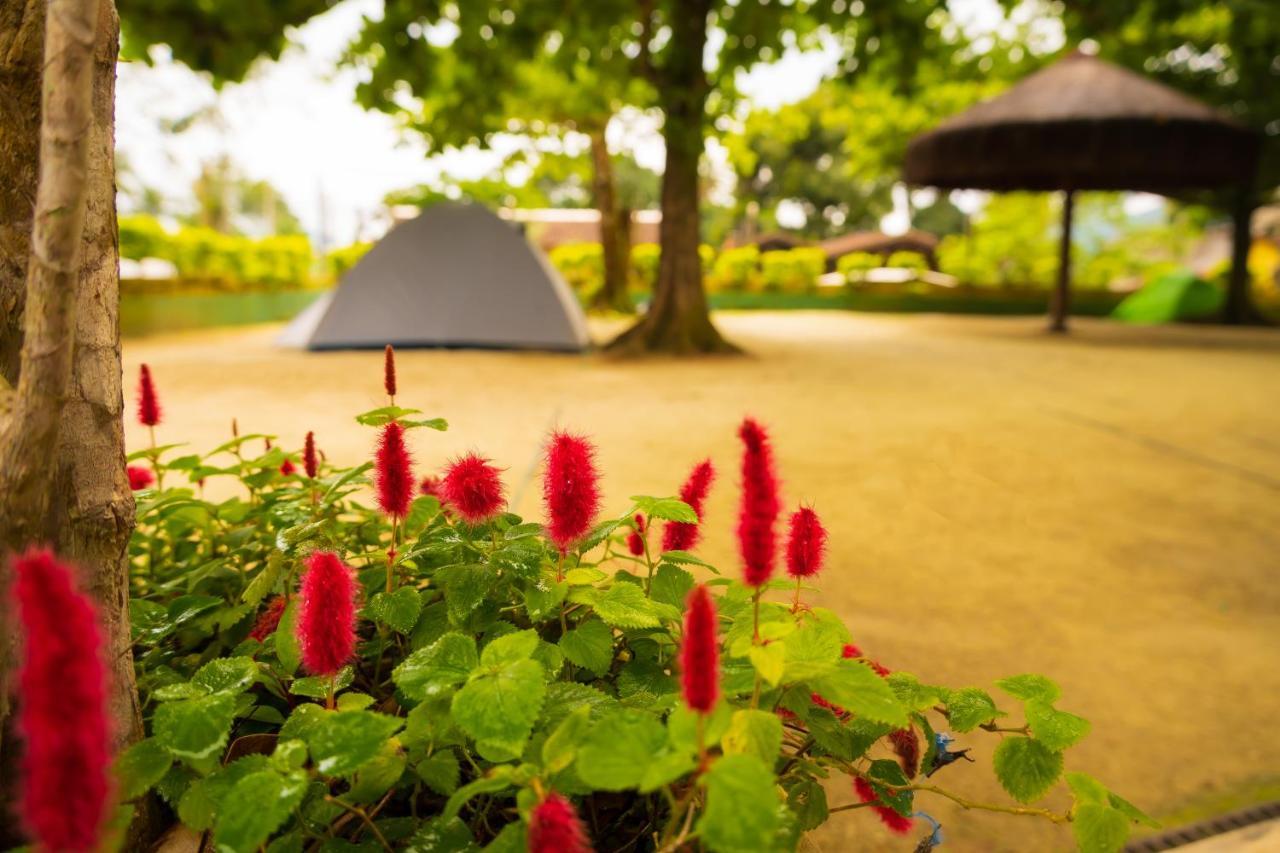 Raio De Sol Pousada & Camping Vila do Abraao Ngoại thất bức ảnh
